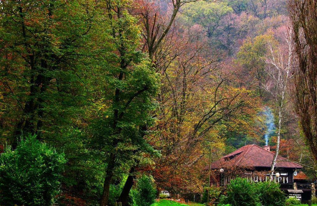 Zimovanje na Fruskoj Gori