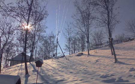 Zimovanje na Fruskoj Gori