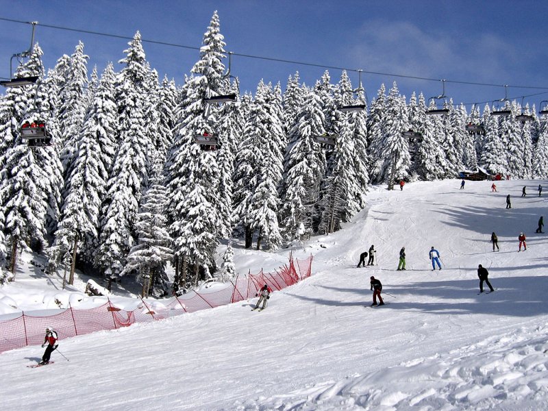 Zimovanje Kopaonik